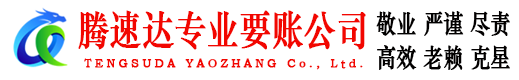 丽水腾速达清债公司